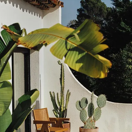 Appartement Casa Kassandra